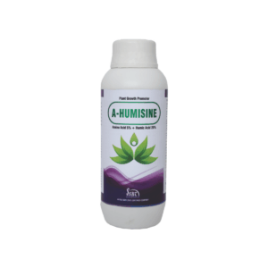 Amino Acid & Vitamins