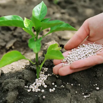 BIO FERTILIZERS