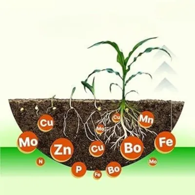 Mix Micro Nutrients Fertilizers