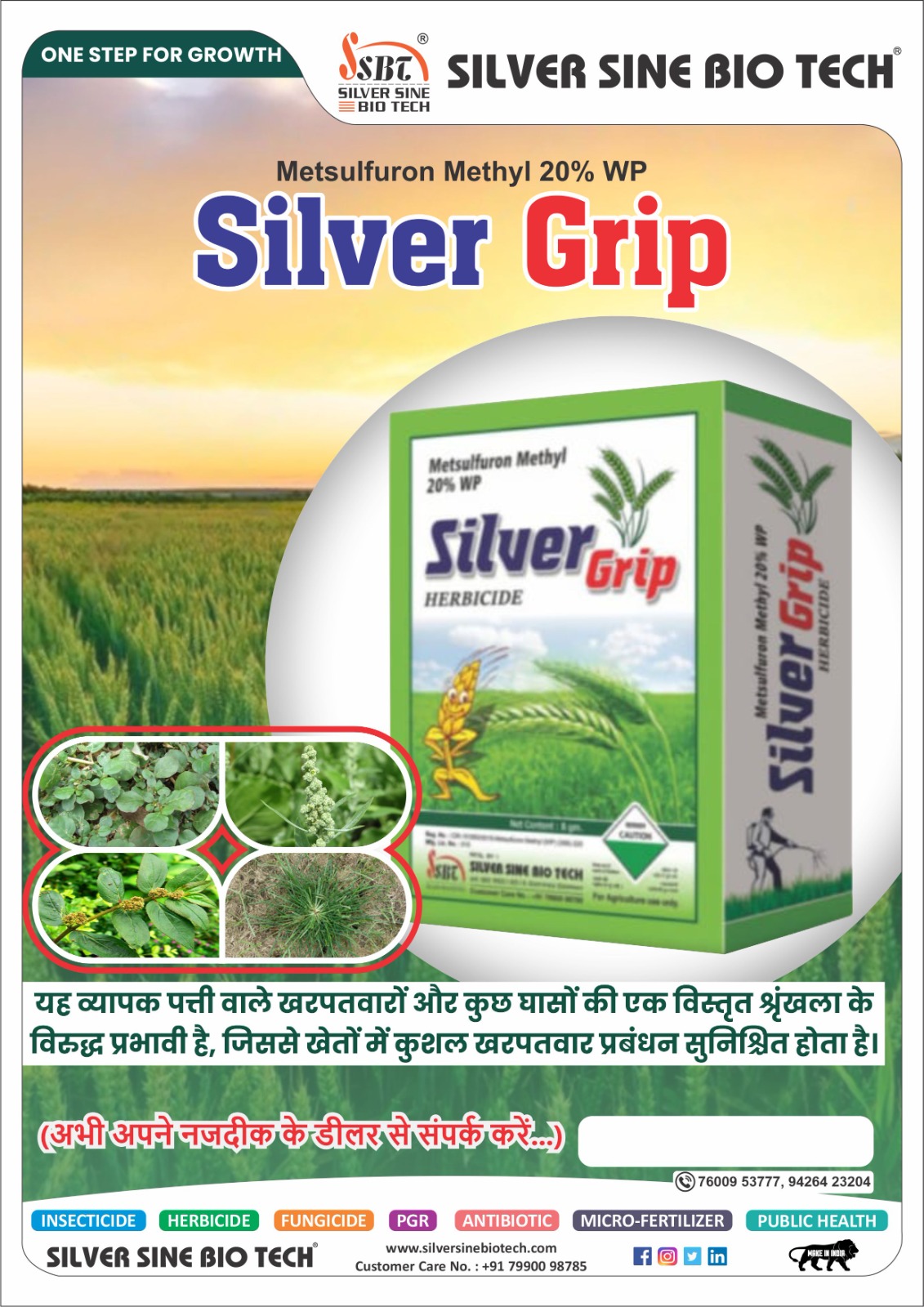 METSULFURON METHYL 20% WP