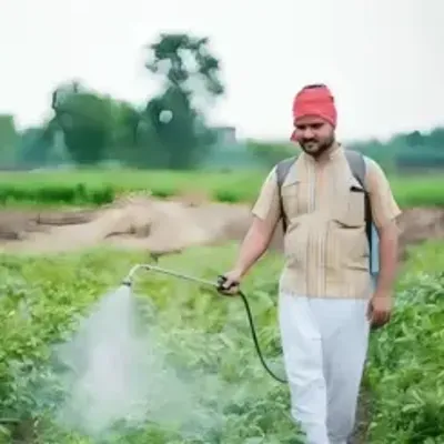 Insecticides