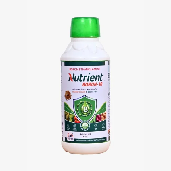 BORON ETHANOLAMINE